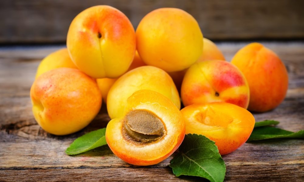 BENEFITS OF APRICOTS FWD Life The Premium Lifestyle Magazine