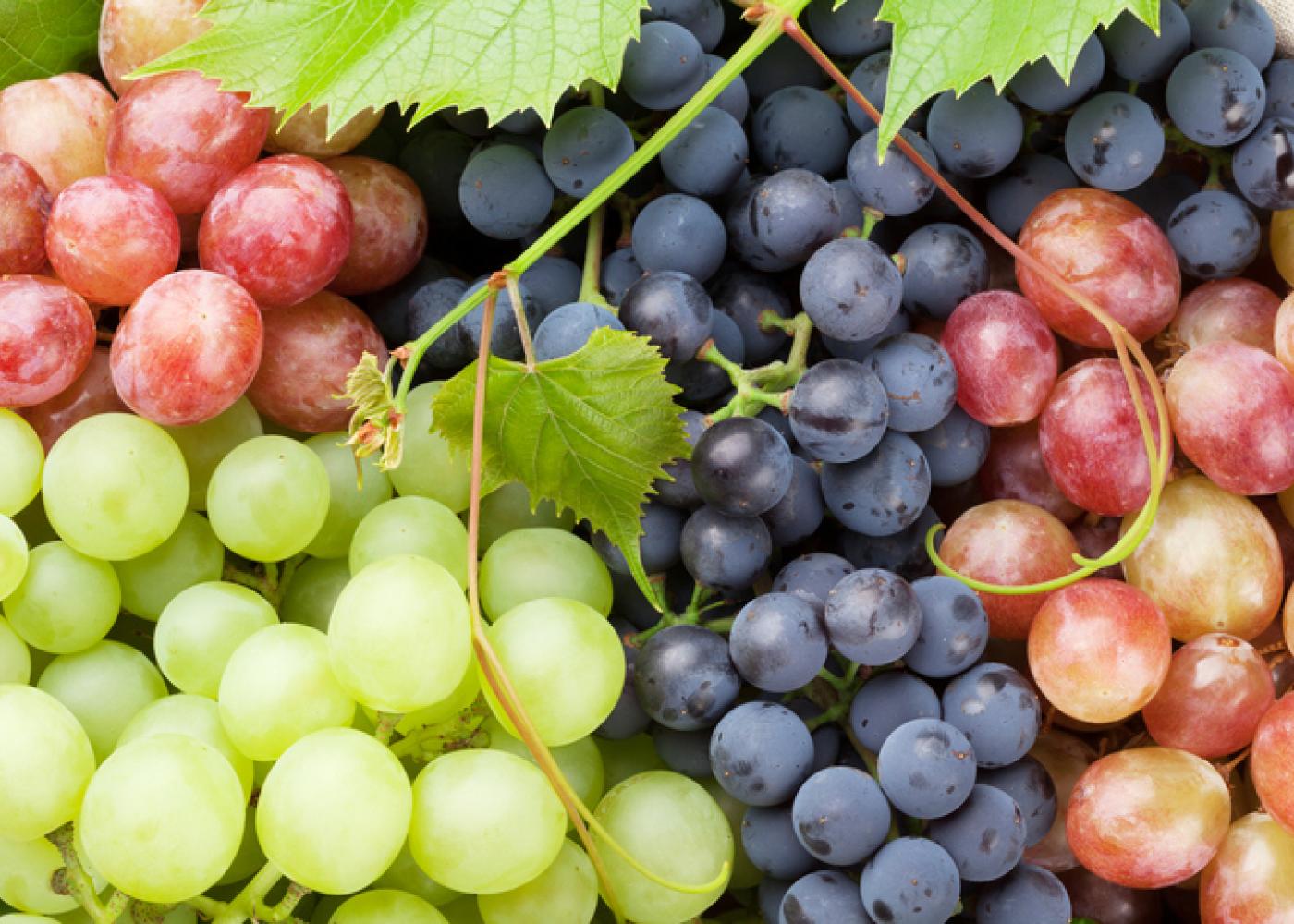 BENEFITS OF GRAPES FWD Life The Premium Lifestyle Magazine