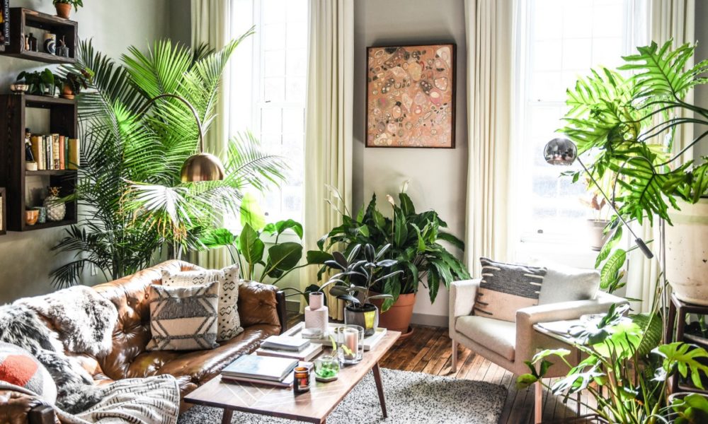 BENEFITS OF INDOOR PLANTS | FWD Life | The Premium Lifestyle Magazine